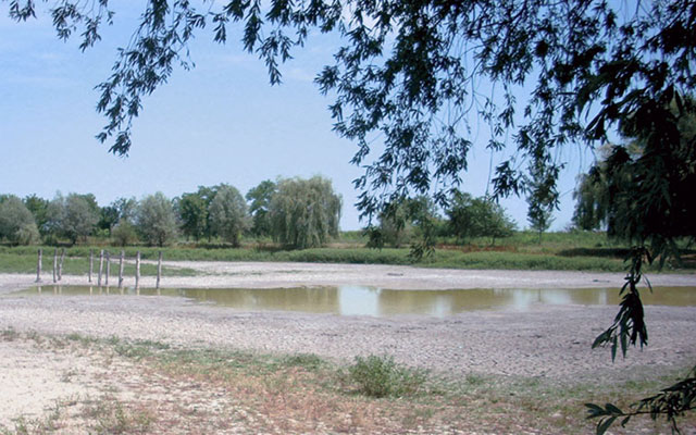 Kliknite da pročitate celu vest