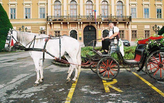 Kliknite da pročitate celu vest