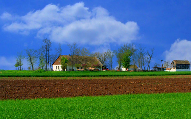 Kliknite da pročitate celu vest