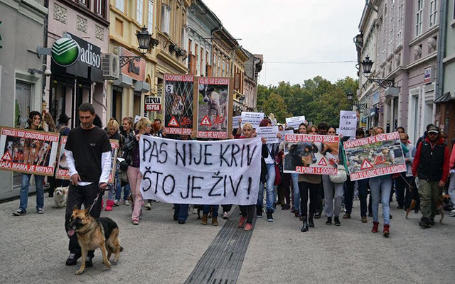 Kliknite da pročitate celu vest